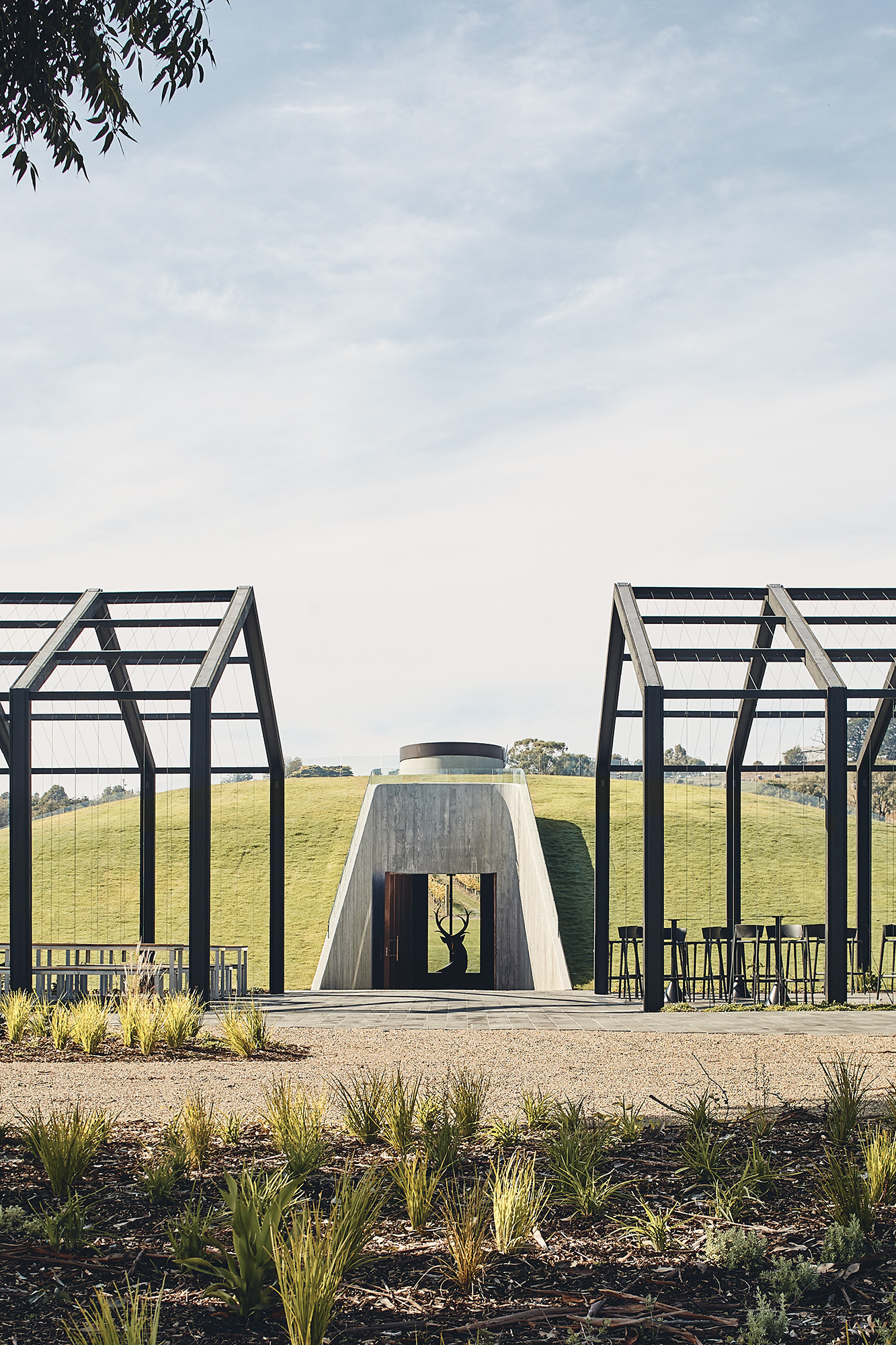 St Huberts Cellar Door by Cera Stribley photography by Peter Bennetts