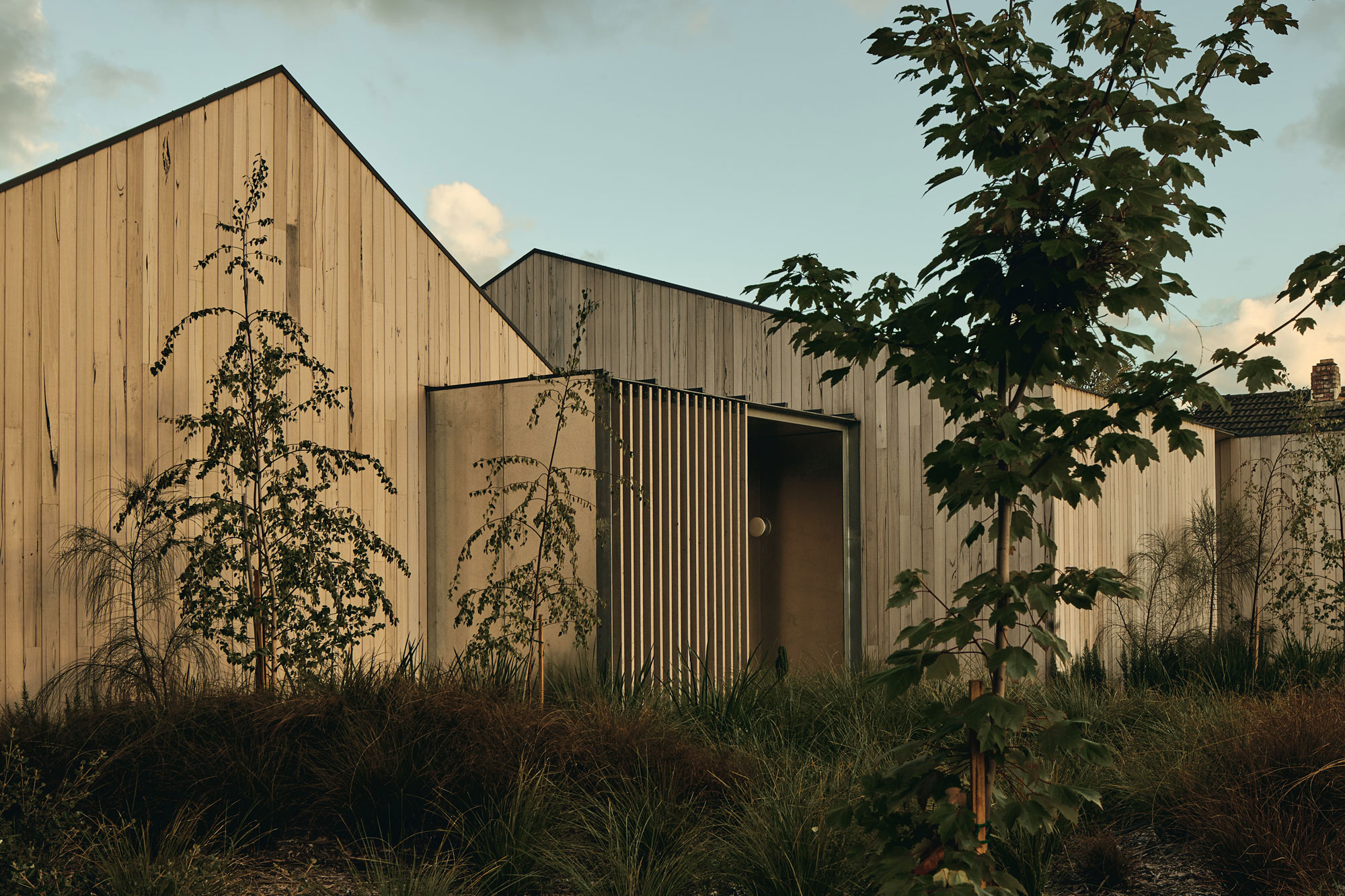 Warm filtered light hits timber clad architectural house with pitched roof and surrounded by lush native greenery.