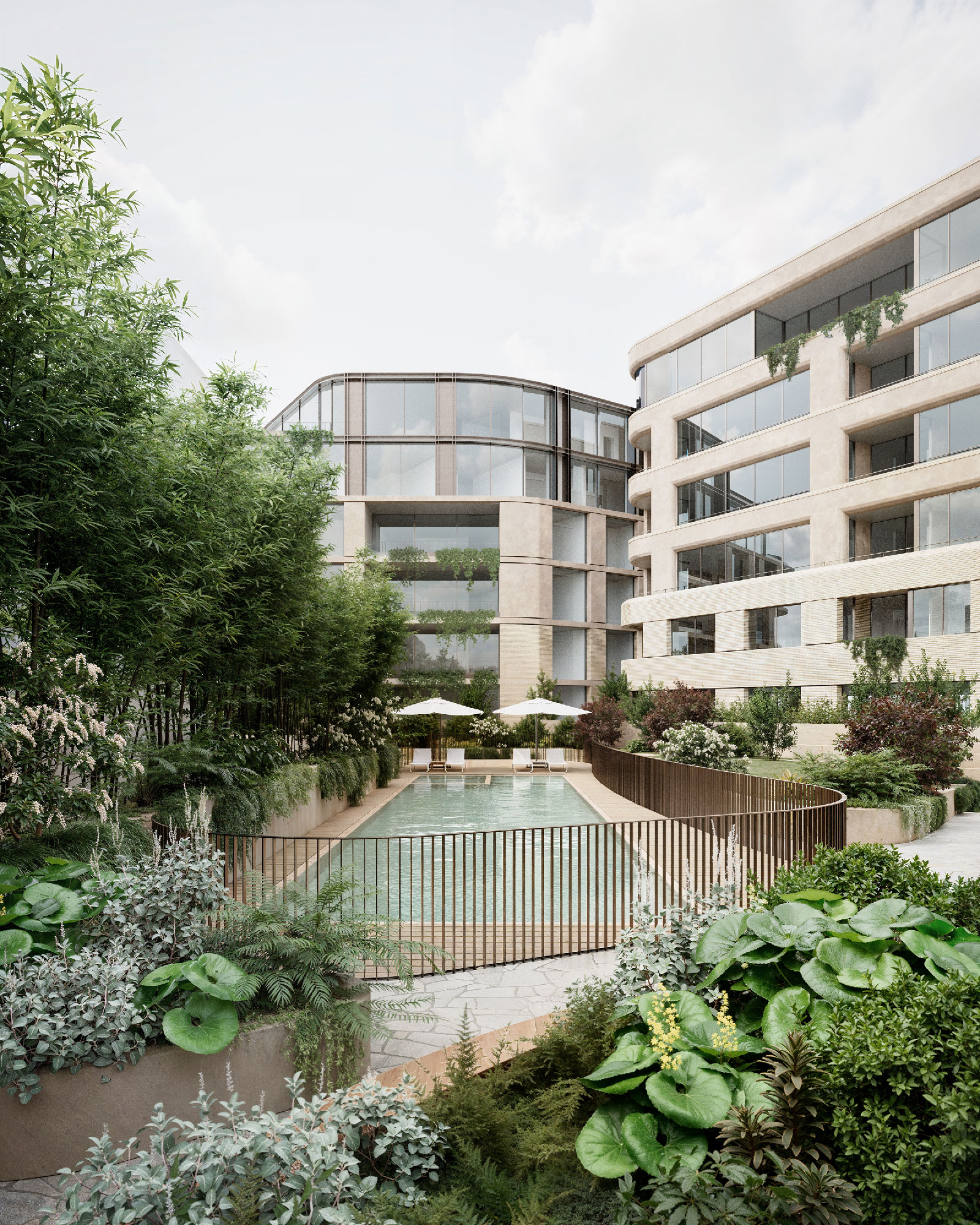 Central courtyard at 138 Barkers Road featuring a lap pool surrounded by layered bamboo and garden planting, with the curved glazed building volumes on either side.
