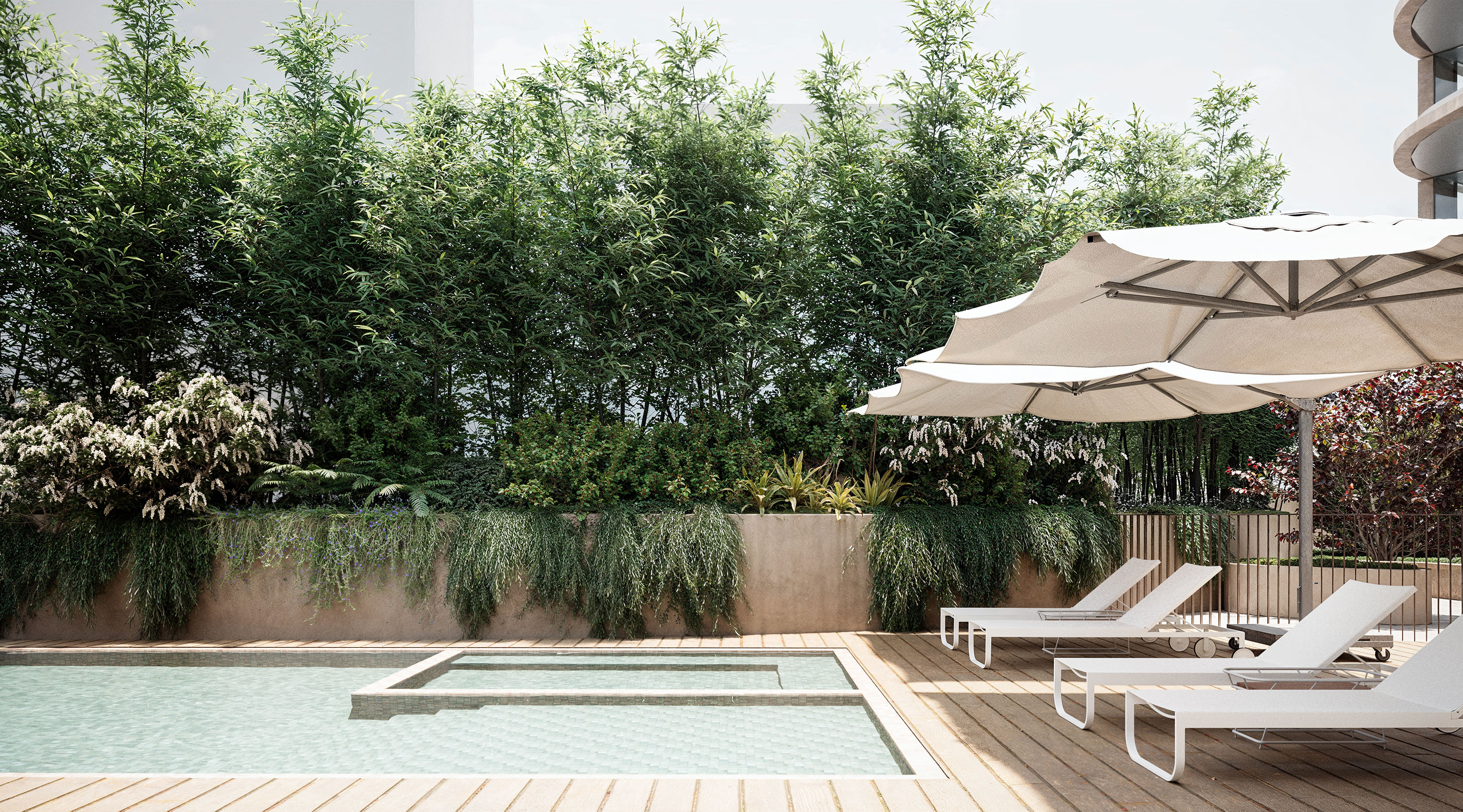 Timber pool deck at 138 Barkers Road with white sun loungers and shade umbrellas set against a backdrop of greenery above a rendered retaining wall.